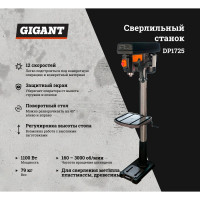 Gigant Сверлильный станок DP1725