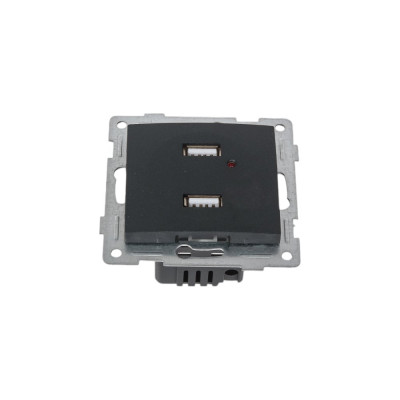 GUSI ELECTRIC Bravo МЕХ. розетки USB, двойной, СУ, графит С10USB2-010