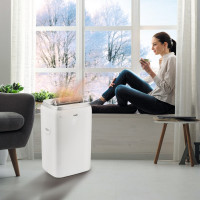 Мобильный кондиционер Ballu Platinum Comfort BPHS-15H НС-1185831