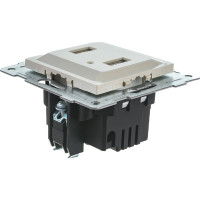 Розетка USB GUSI ELECTRIC Ugra двойная, СУ, бежевый С11USB2-003