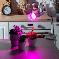Светодиодная лампа для растений Uniel LED-A60-15W/SPSB/E27/CL PLP30GR UL-00004582