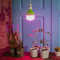 Светодиодная лампа для растений Uniel LED-M80-20W/SPSB/E27/FR PLS55GR IP54 UL-00006261