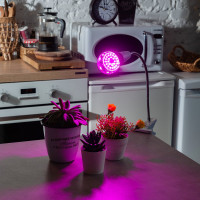 Светодиодная лампа для растений Uniel LED-A60-8W/SPSB/E27/CL, PLP30GR UL-00004581