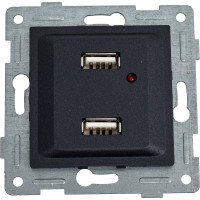 Механизм розетки GUSI ELECTRIC Ugra USB, двойной, СУ, графит С11USB2-010