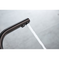 Смеситель для кухни Paulmark ESSEN, вороненая сталь, PVD, Es213011-GM