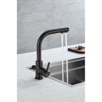 Смеситель для кухни Paulmark ESSEN, вороненая сталь, PVD, Es213011-GM
