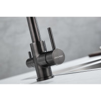 Смеситель для кухни Paulmark ESSEN, вороненая сталь, PVD, Es213011-GM