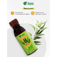 Ароматизатор Банные Штучки Эвкалипт, 120 мл 30033