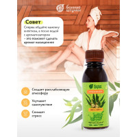 Ароматизатор Банные Штучки Эвкалипт, 120 мл 30033