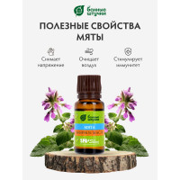 Эфирное масло Банные Штучки Мята 10 мл 20 32212