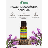 Эфирное масло Банные Штучки Лаванда 15 мл 30021