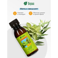 Ароматизатор Банные Штучки 120 мл Бодрость Эвкалипт+Мята 32205