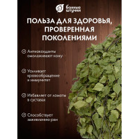 Березовый веник Банные штучки Богатырь 32469
