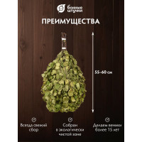 Березовый веник Банные штучки Богатырь 32469