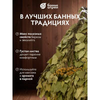 Березовый веник с пижмой Банные штучки 32106