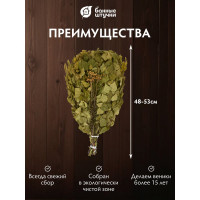 Березовый веник с пижмой Банные штучки 32106