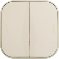 Выключатель Legrand двухклавишный Legrand Quteo IP20 10А 250В винтовые зажимы накладной монтаж слоновая кость 782232