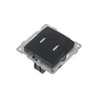 Розетка USB GUSI ELECTRIC Bravo двойная, СУ, графит С10USB2-010