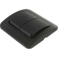 Выключатель Smartbuy 2-клавишный 10А черный Марс SBE-02b-10-SW2-0-c