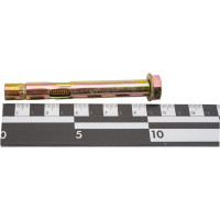 Анкерный болт SWFS 12х100, 30 шт. тов-071318