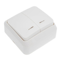 Выключатель Smartbuy 2-клавишный с индикатором 10А белый Юпитер SBE-03w-10-SW2-1