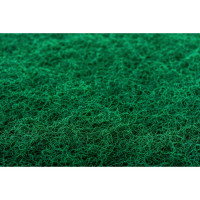 Пад для поломоечных машин 17" (категория А) OZONE PAD-A17GREEN
