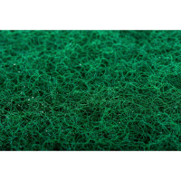 Пад для поломоечных машин 20" (категория А) OZONE PAD-A20GREEN