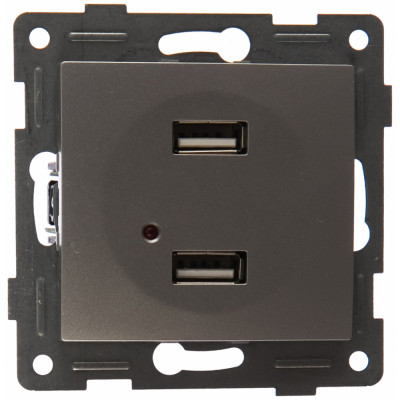 Двойная розетка usb GUSI Electric Bravo С10USB2-004