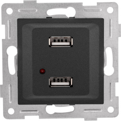 GUSI ELECTRIC Ugra МЕХ. розетки USB, двойной, СУ, графит С11USB2-010