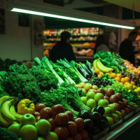 Светодиодная лампа Jazzway PLED T8-600 Food Green 9Вт G13 230В/50Гц CL/PL для подсветки овощей/фруктов/зелени 5006522