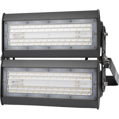 Светильник светодиодный PPI-02 2х50Вт 6500К IP65 230В/50Гц для высоких пролетов Jazzway 5016231