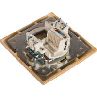 Информационная розетка Intro 1-303-11 RJ45, IP20, СУ, Plano, сосна Б0030089