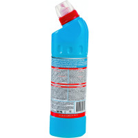 Чистящее средство DOMESTOS Свежесть Атлантики 4601726007593