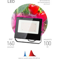 Светодиодный фитопрожектор для растений ЭРА FITO-100W-RB-LED красно-синего спектра 100 Вт Б0046369