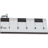 Винт ЦКИ DIN7985 М2.5х6 Ц 2000 шт. 3994