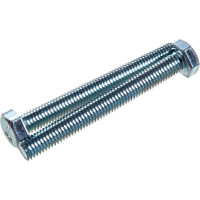 Болт Госкреп DIN933 М8х70, 2 шт. 6-0048290