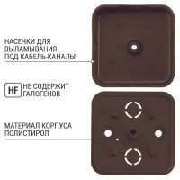 Коробка распределительная TDM ELECTRIC 50х50х20 ОП бук IP40 SQ1401-0301