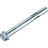 Анкерный болт с гайкой Tecfi AW ZN 10x97, 2 шт. 147626