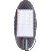 Светодиодный светильник Jazzway консольный PSL 03 GR 100Вт 5000К IP65 AC190-260В ДКУ уличный 5020429