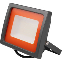 Светодиодный прожектор Jazzway PFL-SC 50Вт 6500К IP65 190-260В закаленное матовое стекло 5001435