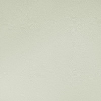 Стеклообои Wellton Пергамент Decor 1х12,5 м WD854