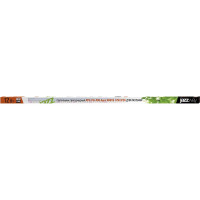 Светодиодный светильник Jazzway PPG T5i-900 Agro 12Вт IP20 для растений полный спектр 5026018