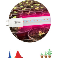 Лампа ЭРА красносинего спектра FITO-18W-RB-Т8-G13-NL 18 Вт Т8 G13 Б0042990