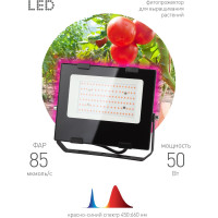 Светодиодный фитопрожектор для растений ЭРА FITO-50W-RB-LED для цветения и плодоношения Б0046368
