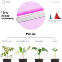 Линейный светильник ЭРА красносинего спектра FITO-14W-Т5-N Б0045232