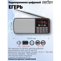 Цифровой радиоприемник Perfeo ЕГЕРЬ FM MP3 синий 30008713