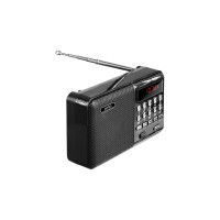 Радиоприемник цифровой Perfeo PALM черный 30012772