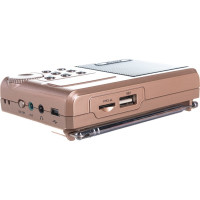 Мини аудио Perfeo Sound Ranger УКВ FM MP3 шампанское золото 30008712