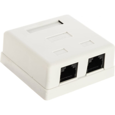 TWT Розетка настенная, 2 порта RJ-45, категория 5е, белая, SM2-4545-WH