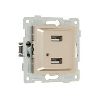 Механизм розетки GUSI ELECTRIC Ugra USB, двойной, СУ, шампань С11USB2-027